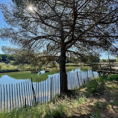 شقة Les Pins Du Capri - Meuble De Tourisme 3 Etoiles لا غراند موت