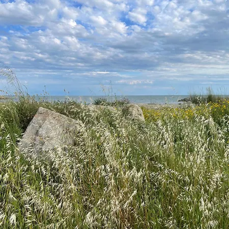 Les Pins Du Capri - Meuble De Tourisme 3 Etoiles شقة