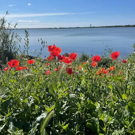 Les Pins Du Capri - Meuble De Tourisme 3 Etoiles *