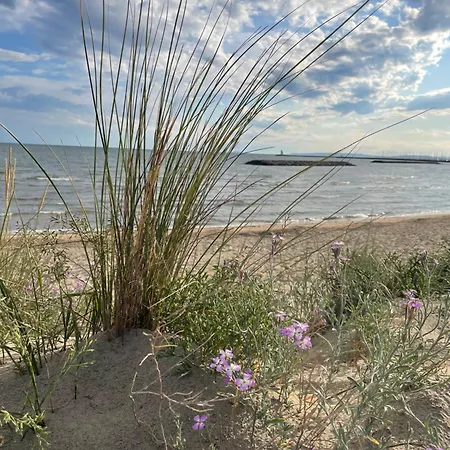 Les Pins Du Capri - Meuble De Tourisme 3 Etoiles * La Grande-Motte