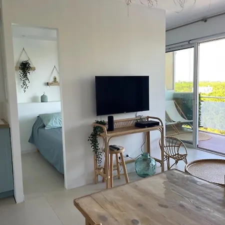 Les Pins Du Capri - Meuble De Tourisme 3 Etoiles Lejlighed La Grande-Motte